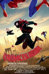 Örümcek Adam Örümcek Evreninde
