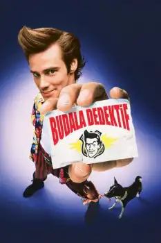 Budala Dedektif 1