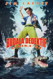 Budala Dedektif 2